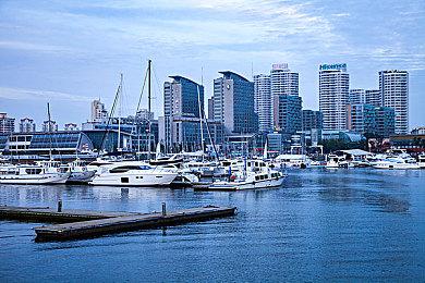 好评如潮点击叙事《诺科》，新增中文支持和游戏手柄支持